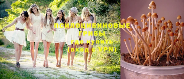 ECSTASY Новокубанск