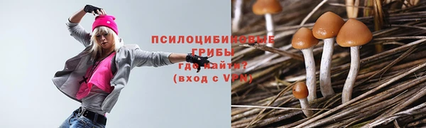 спайс Новодвинск