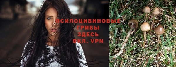 дурь Вязники