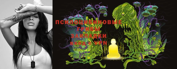спайс Новодвинск